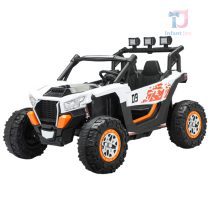 UTV RZR2000